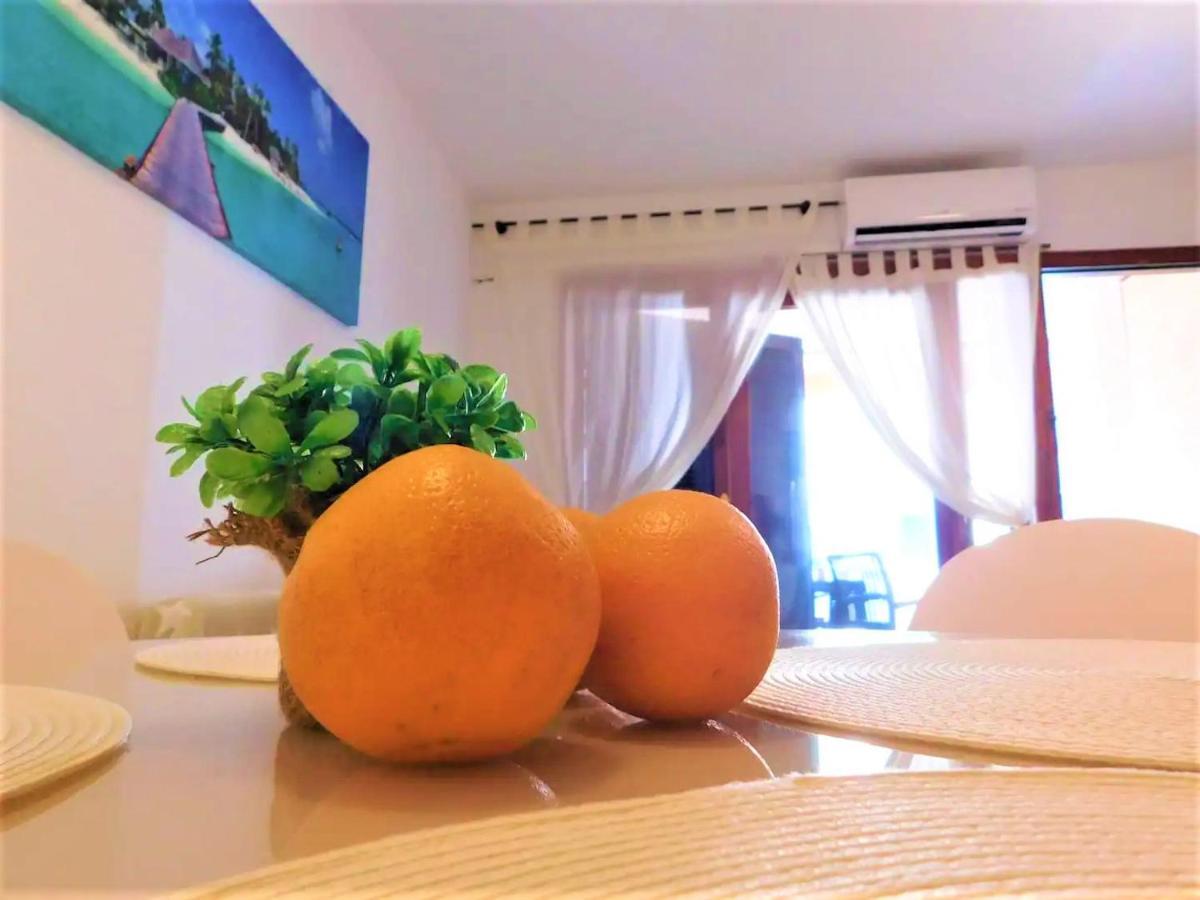Tropical Playa Z Widokiem Na Morze, 400 M Do Plazy La Mata Beach تورّيفيِخا المظهر الخارجي الصورة